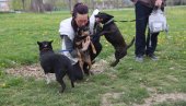 БИРА СЕ НАЈКЕРА: У Лиманском парку у Новом Саду данас отворена изложба паса мешанаца Нови Сад 2022