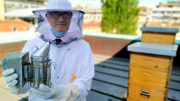 ГРАДСКИ МЕД ЈОШ БОЉИ ОД ШУМСКОГ: Дорћол добија кошнице за 600.000 пчела