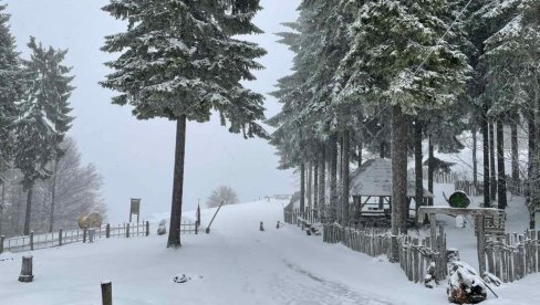 СНЕЖНА ИДИЛА У АПРИЛУ: Планина Бобија се забелела, зима заменила пролеће (ФОТО)