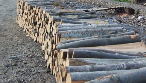 ZAPLENILI 147 KUBIKA DRVETA: Protiv nesavesnih drvoseča podneto je 17 zahteva za pokretanje prekršajnih prijava