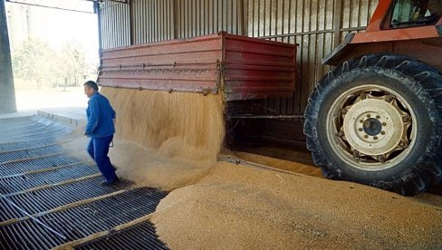 PRODUBLJUJE SE KRIZA SA HRANOM, NAJTEŽE SIROMAŠNIMA: Kako na globalno tržište utiče odluka Rusije da rekordno podigne izvozne takse žitarica