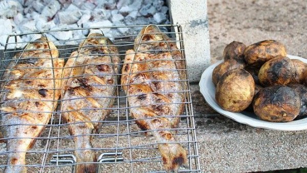 ОВА РИБА ЈЕ НАЈВИШЕ ПОСКУПЕЛА ОД ПОЧЕТКА ГОДИНЕ: Корона пореметила циклус производње