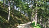 PUT DO VIDIKOVCA: Uređenje etno-arheološkog parka na Hisaru