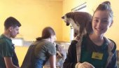 U ZOO-VRT PO ZNANJE: Veterinarski tehničari iz Hemijsko-tehnološke škole iz Subotice imaju zanimljivu praksu