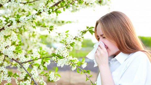 PRISUTNO ČAK 17 VRSTA POLENA DRVEĆA: Alergije ovih dana muče brojne građane