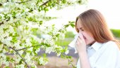ХЛАДНОЋА СМАЊИЛА ПОЛЕН: Алергије крећу са лепшим временом