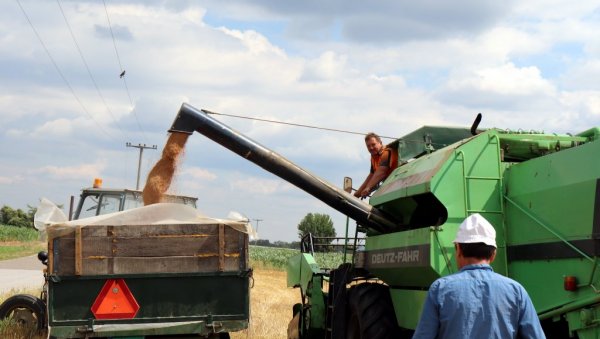 WAREHOUSERS STOLE THE STATE: New arrests in Serbia for stealing wheat from commodity reserves, which was kept by private individuals