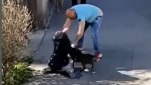 NASILNIKU IZ ZEMUNA PRITVOR DO 30 DANA: Pretukao ženu i psa na ulici (VIDEO)