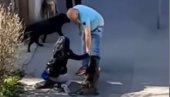 NJEGOV PITBUL JE DRŽAO NJENOG PSA U ČELJUSTIMA: Očevidac drame u Zemunu otkrio šta je prethodilo napadu na ženu