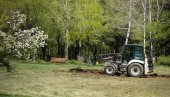 PRVA FAZA UREĐENJA STEPINOG GAJA DO KRAJA JUNA: Zelena oaza na samo 13 kilometra od centra Beograda