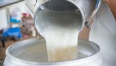 НАЈАВЉУЈУ ШТРАЈК: Произвођачи млека захтевају од прерађивача повећање откупне цене, али и веће премије од министарства