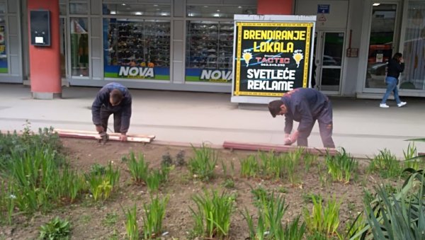 ЗА ЛЕПШИ ГРАД: У току пролећно уређење Пожаревца