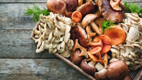 ПОКУШАВАТЕ ДА ЗАТРУДНИТЕ? Једите печурке - богате су фенолом, јачају имунитет, а добре су и за дијабетичаре
