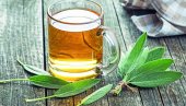 ПРАВО ЈЕ ВРЕМЕ ЗА БРАЊЕ ЖАЛФИЈЕ: Чај добар код задаха, листови за негу лица