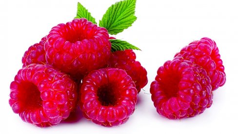 МАЛИНУ ИЗ СРБИЈЕ СВЕ МАЊЕ ТРАЖЕ: Произвођачи јагодичастог воћа упозоравају