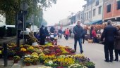 U PRIPREMI PRVI VAŠAR U PARAĆINU: Održava se na Đurđevdan, više od polovine mesta već prodato