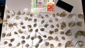 HAPŠENJE NA ZVEZDARI: U donjem vešu osumnjičenog pronađene kesice marihuane