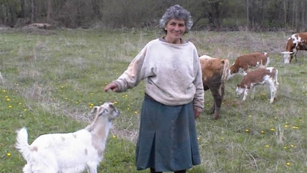 ЧАМОТИЊУ ДЕЛИ СА ОВЦАМА: Мара Ђорђевић (72) годинама је једини житељ димитровградског села Искровци