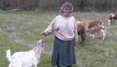 ČAMOTINJU DELI SA OVCAMA: Mara Đorđević (72) godinama je jedini žitelj dimitrovgradskog sela Iskrovci
