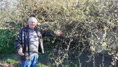 ЗА МУЗЕЈ САКУПИО 3.000 СТАРИНА: Дујо Пилиповић из Крајишника код Сечња све ближе остварењу старе жеље