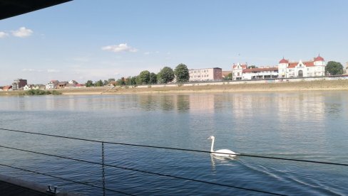 MOSTOVI SREMA I MAČVE: Na reci Savi, između dve Mitrovice, proleće u punom sjaju (FOTO)