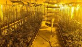 ПАЛА КРИМИ-ГРУПА У ОБРЕНОВЦУ: Полиција пронашла лабораторију за производњу марихуане - заплењени дрога, новац, пет аутомобила (ФОТО/ ВИДЕО)