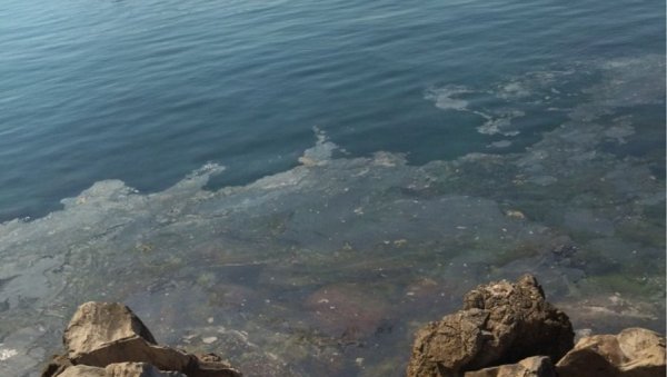 ПЕНА И ЖУТЕ ФЛЕКЕ: Загађено море у Боки, инспектори траже извор, грађани огорчени (ФОТО)