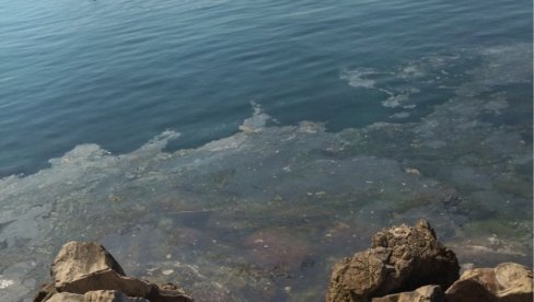 PENA I ŽUTE FLEKE: Zagađeno more u Boki, inspektori traže izvor, građani ogorčeni (FOTO)