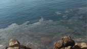 ПЕНА И ЖУТЕ ФЛЕКЕ: Загађено море у Боки, инспектори траже извор, грађани огорчени (ФОТО)