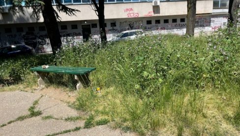 „TRAVA DO KOLENA, NIKO NADLEŽAN DA POKOSI OVU PRAŠUMU“: Beograđani zatrpali nadležne žalbama zbog neuređenih zelenih površina