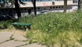 „TRAVA DO KOLENA“: Beograđani zatrpali nadležne žalbama zbog neuređenih zelenih površina