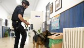 ХРАБРИ ДОН ПРЕДВОДИ ДЕМИНЕРЕ: Пас на челу екипа МУП које проверавају дојаве о бомбама (ФОТО/ВИДЕО)