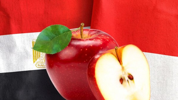 СРБИЈИ ОТВОРЕНА ДВА ОГРОМНА ТРЖИШТА: Наше јабуке ускоро крећу за Индонезију и Египат