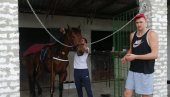 JOŠ JEDAN PEHAR STIŽE U SOMBOR: Konj Nikole Jokića pobednik kasačke trke u Subotici (FOTO)