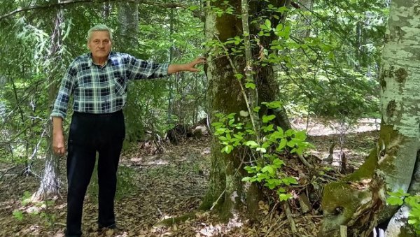 БУКВЕ ЧУВАЈУ ГРОБ ДРАЖИНОГ ВОЈНИКА: Сељаци из Божетића пре 78 година сахранили младог борца, не зна се одакле је убијени Павле Орловић