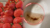 VIDITE KOJE ĐUBRE ĆE SVE IZVUĆI: Kako pravilno oprati jagode - potrebna su 5 minuta, nije dovoljno isprati ih vodom