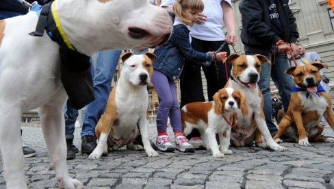 ЉУБИМЦИ И ВЛАСНИЦИ ТРКАЋЕ СЕ ЗАЈЕДНО: У парку Ушће 5. јуна прво надметање са псима