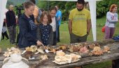 GLJIVE SUVE I U LOŠEM STANJU: U selu Paljanu na lokaciji „Nebesko brdo“ održana šesta manifestacija Dani gljiva (FOTO/VIDEO)
