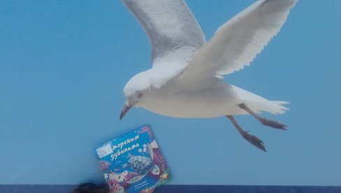 VELIKO INTERESOVANJE ZA KONKURS: Nagrade - pet pansiona na Zlatiboru