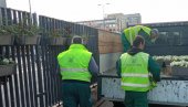 ZATVARA SE BRZA TRAKA U SMERU KA GRADU: Sutra menjaju sadnice na zelenom zidu u Bulevaru vojvode Mišića