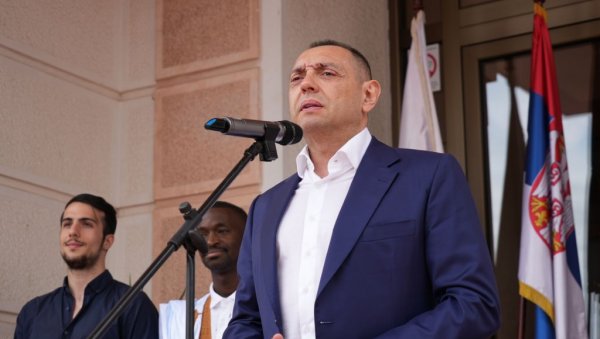 МИНИСТАР ВУЛИН О ВАЖНОСТИ ПОСЕТЕ ШАЛЕНБЕРГА: Аустрија, као и ми, не подлеже хистерији