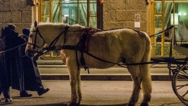 БИЗАРНА НЕСРЕЋА У ГРАЧЕНИЦИ: Коњи се уплашили и дали се у бег - више особа повређено у дивљању улицама