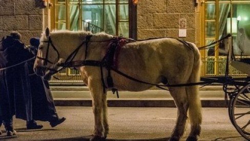 BIZARNA NESREĆA U GRAČENICI: Konji se uplašili i dali se u beg - više osoba povređeno u divljanju ulicama