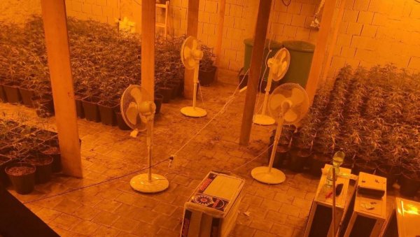 УХАПШЕНИ БЕОГРАЂАНИ И КРУШЕВЉАНИН: Лабораторија за производњу марихуане откривена надомак Крушевца