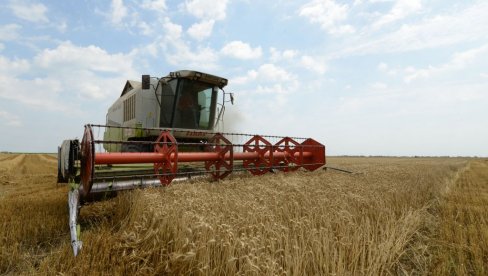 NAJNOVIJA ODLUKA VLADE SRBIJE: Ukida se zabrana izvoza pšenice i kukuruza