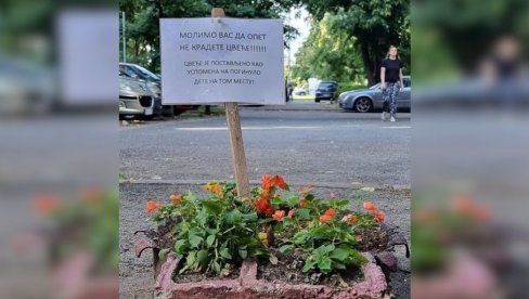 BOLI VIŠE OD KRAĐE CVEĆA: Poruka u žardinjeri na Novom Beograd - To je uspomena na poginulo dete (FOTO)