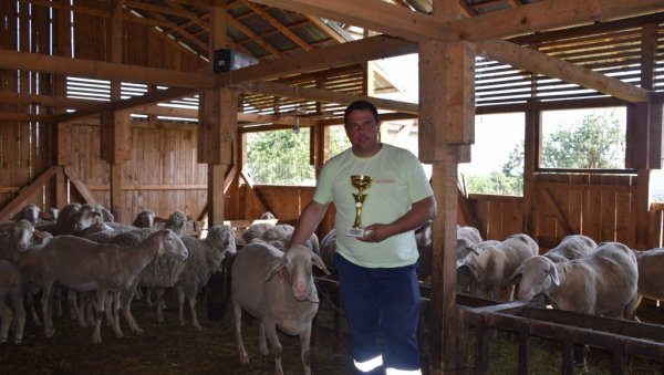 ОД ОВАЦА СИГУРНА ЗАРАДА: Милан и Владимир Павловић имају највеће стадо у лаповачкој општини