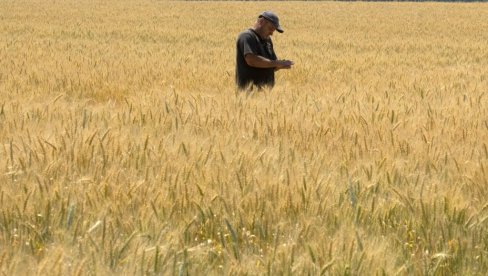УЈЕДИЊЕНЕ НАЦИЈЕ О ПРЕХРАМБЕНОМ СПОРАЗУМУ: Свету је потребно руско жито