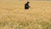 ŽITO IZ UKRAJINE POSVAĐALO EVROPU: Zemlje EU nezadovoljne načinom na koji se rešava problem jeftinih žitarica koje izvozi Kijev