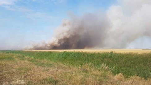 OPET GORELO ŽITO: Požar na njivi kod Zrenjanina, vatra progutala 50 ari neovršene pšenice